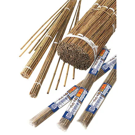 Grow It Bamboo Canes Bulk Bundle 20 Pack