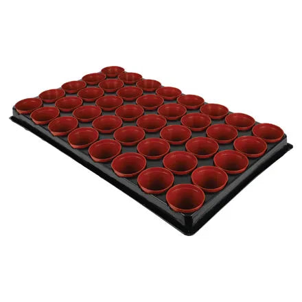 Grow It Seed and Cutting Tray 40 Pot