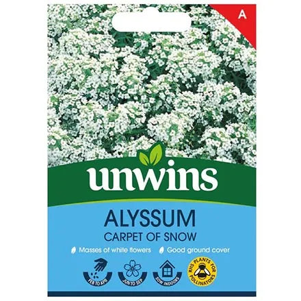 Unwins Alyssum Carpet of Snow Seeds