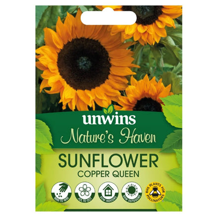NH Sunflower Copper Queen