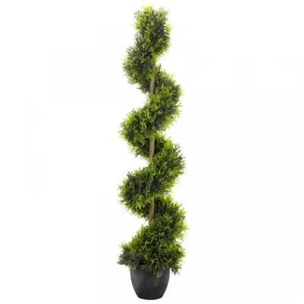 Cypress Topiary Twirl 120cm