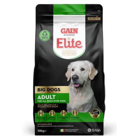 GAIN Elite Big Dog Adult