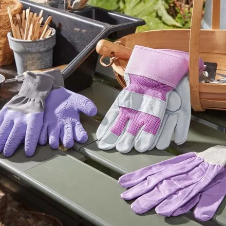 Ladies Multi Use M8 Triple Pack