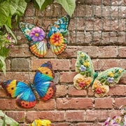 Papillon (Mixed Case)