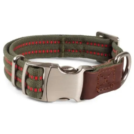 Primo Olive Walkabout Dog Collar