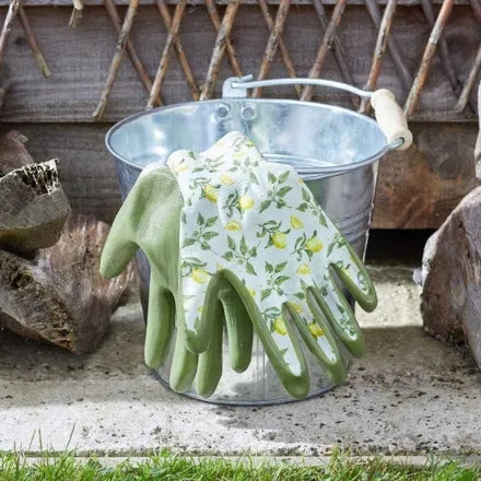 Seed & Weed - Sicilian Lemon M8