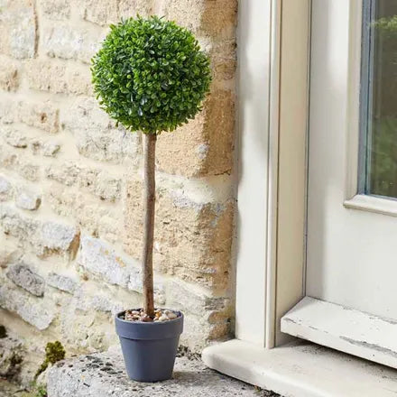 Uno Topiary Tree 30cm