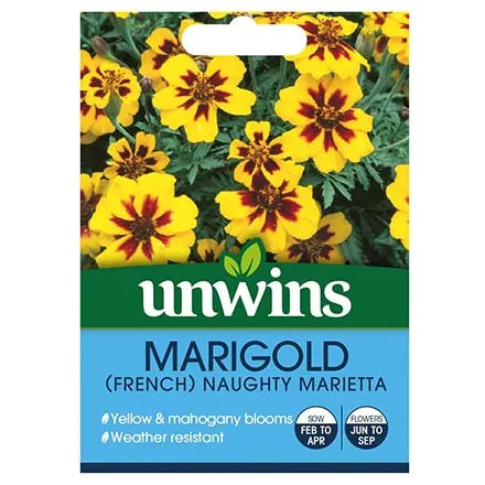 Unwins Marigold French Naughty Marietta Seeds