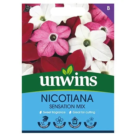 Unwins Nicotiana Sensation Mix Seeds