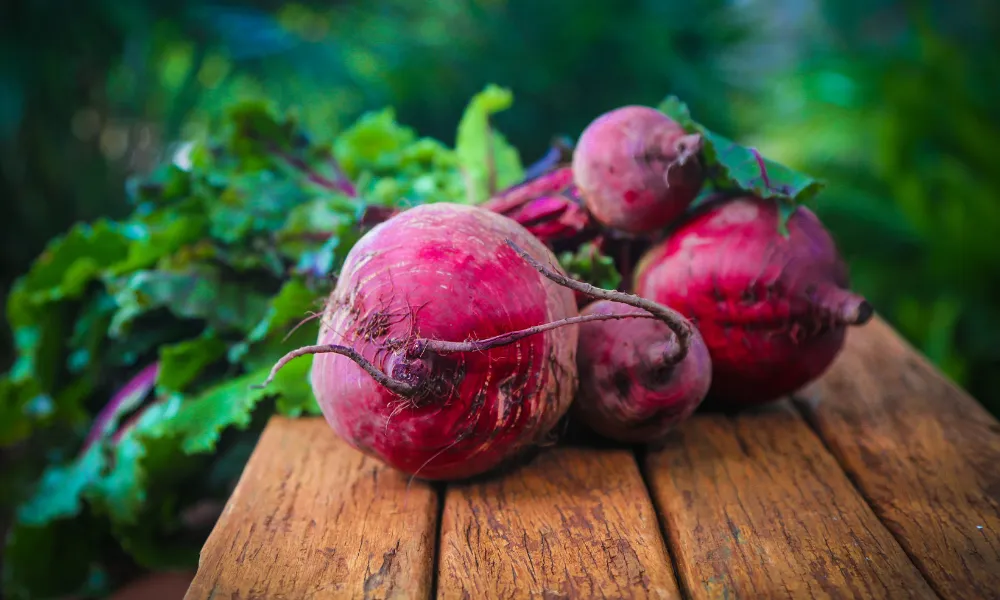 Grow Your Own Beetroot